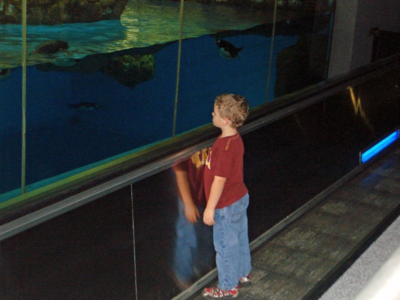 DSC01386015.jpg - I like Penguins