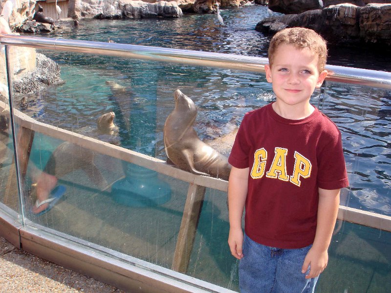 DSC01387016.jpg - Feeding the Sea Lions